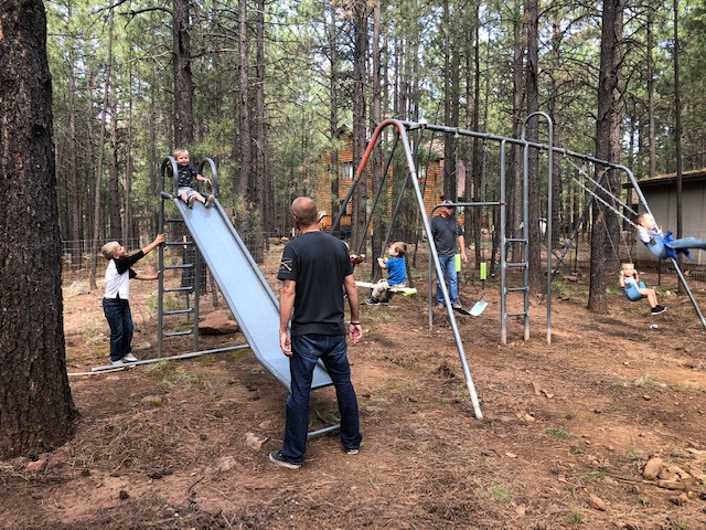 Backyard Swingset - Swingset and slide for the kids in the back yard.