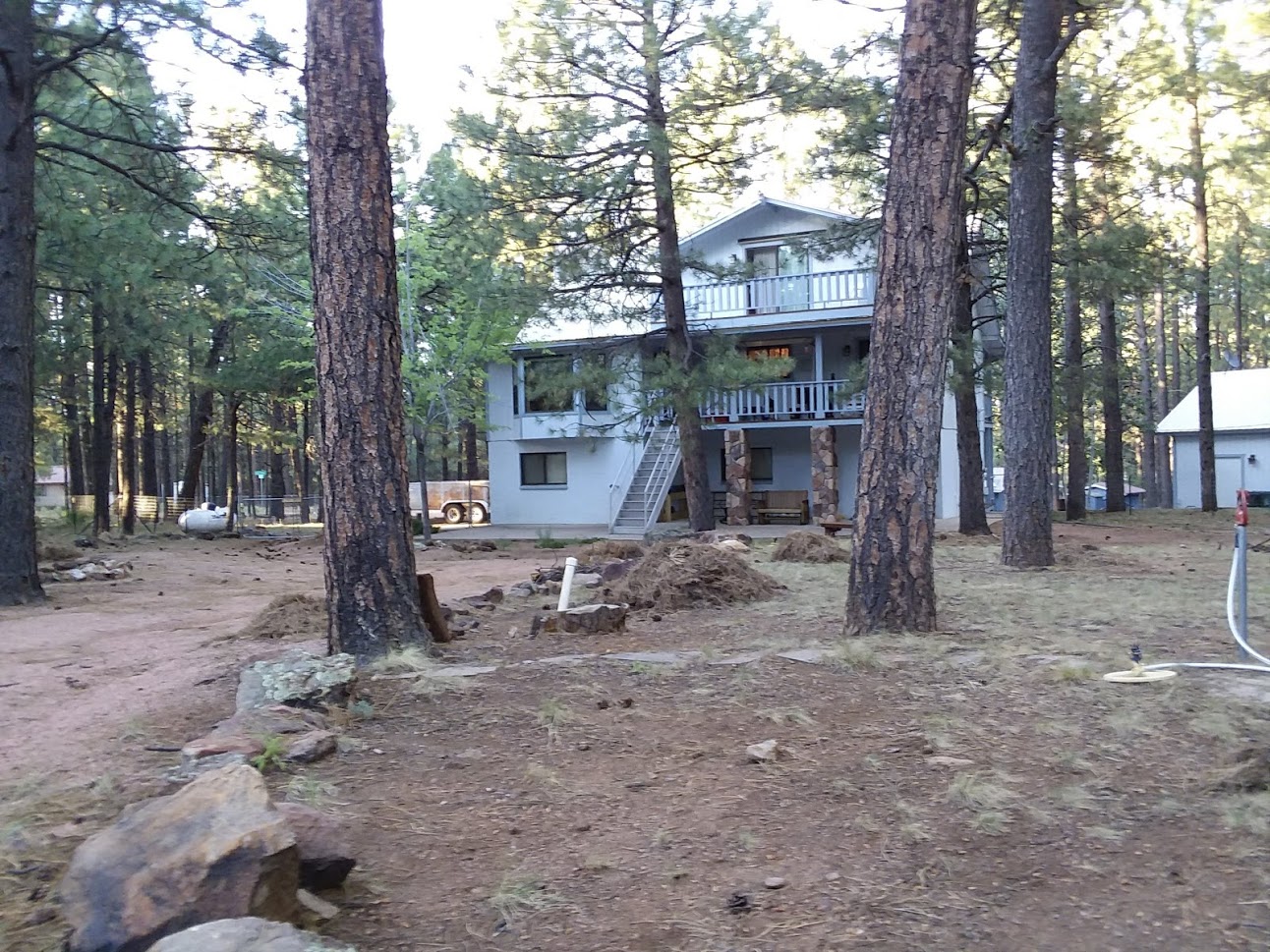 Back Yard Cabin View - A view from part way back in the yard. Every year we rake pine needles into piles and have them hauled off to help in fire control.