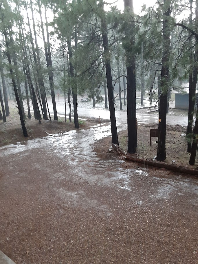 Summer Rainstorm - There is nothing like a quick afternoon summer downpour to cool things down and refresh that forest smell.