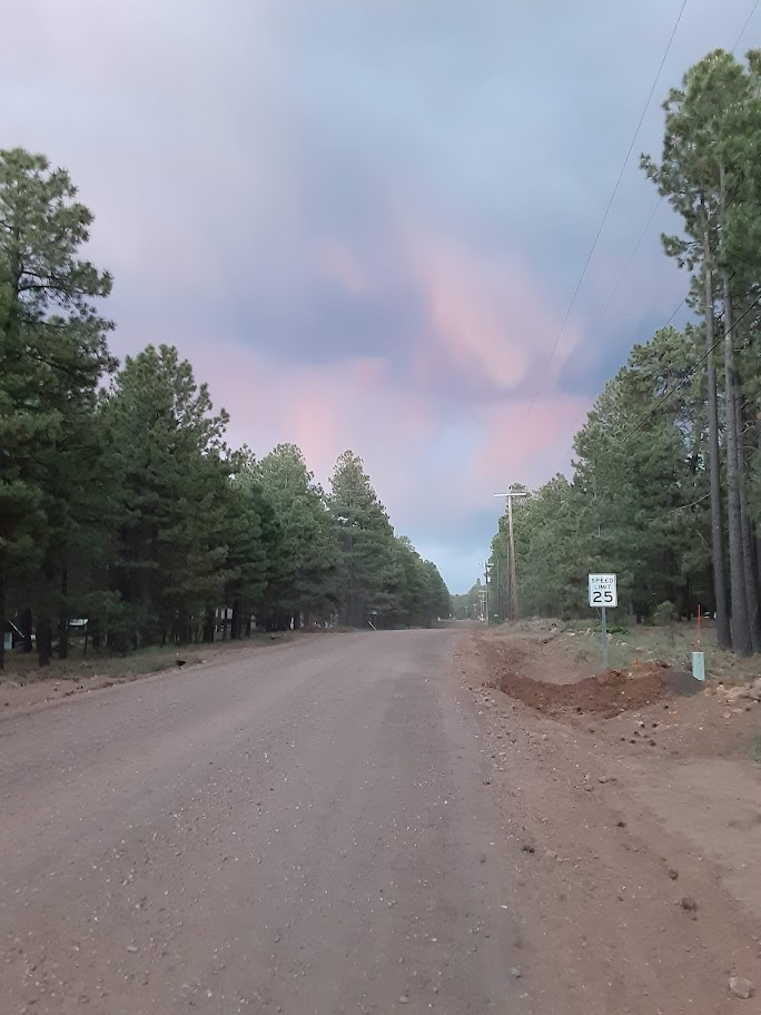 Forest Lakes Road - Forest Lakes is a nice quiet community with lots of roads to walk on and explore.