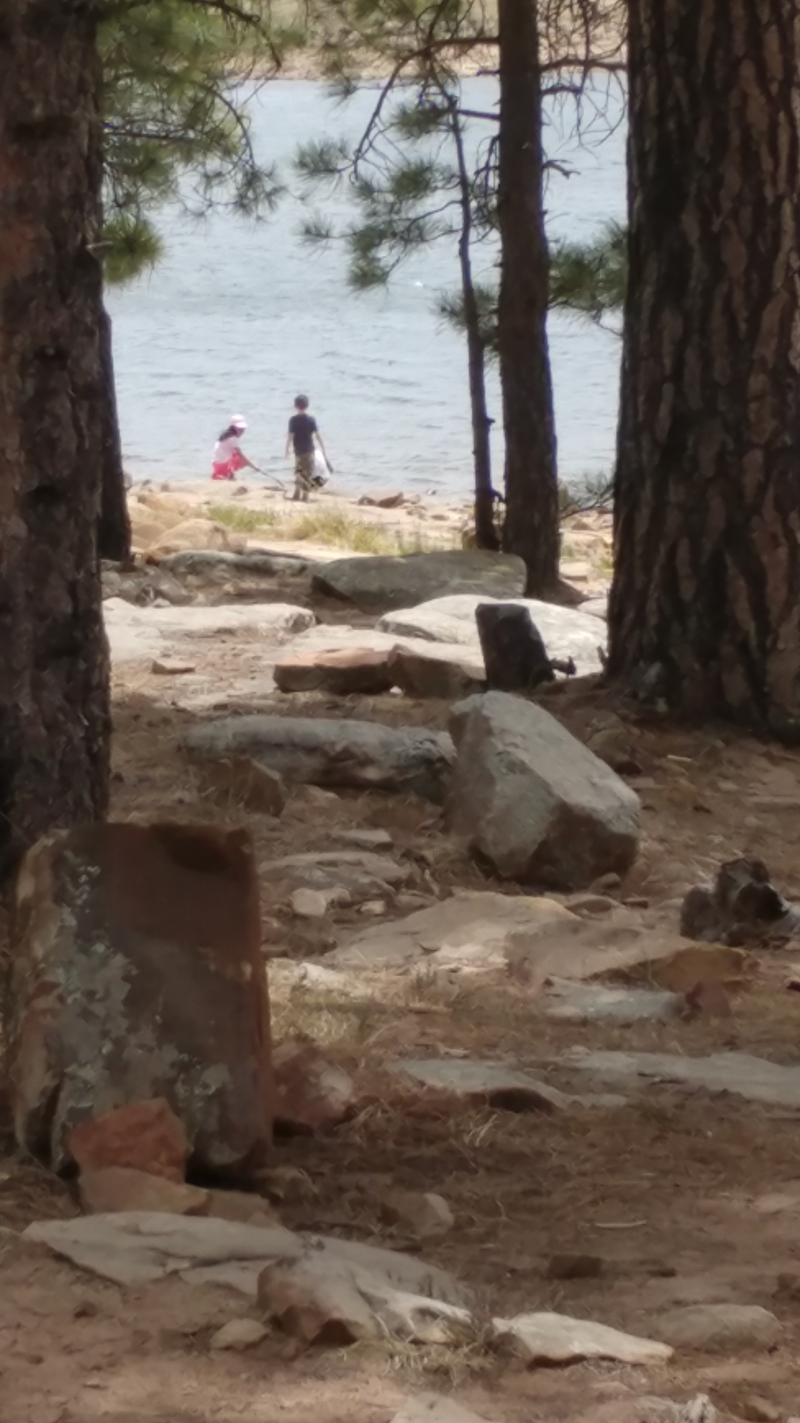 Kids at the Lake - A quick excursion to Woods Canyon lake which is less than 10 minutes away. Of course there is also Willow Springs lake, Black Canyon lake...