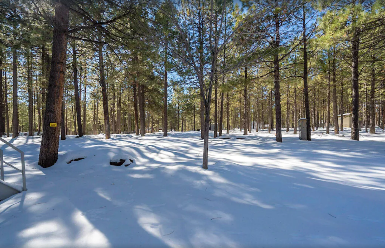 Back Yard Area - This picture was taken in the Winter right after a serene snowfall. Can you see the footprints of the rabbit in the snow? The fenced yard extends clear back to the farthest building you can see. There is also an "Outhouse" in the yard where the campfire tools are stored.